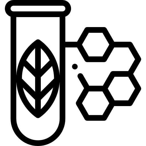 B.Tech in Mathematics and
Computing