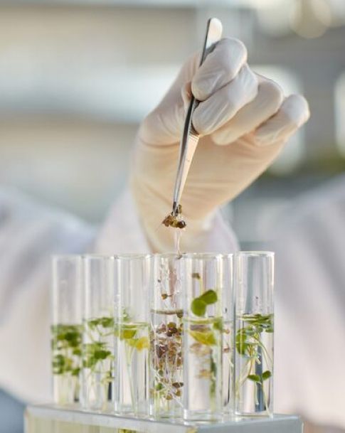Biotechnology